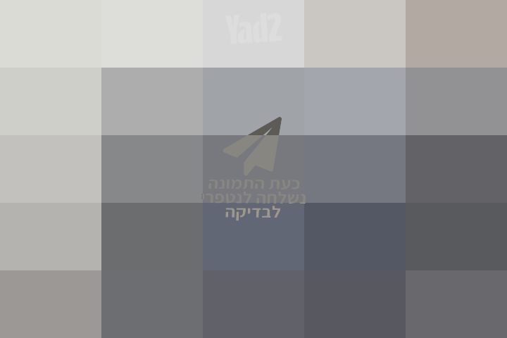 מיקרוגל ענק