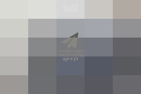 מיקרוגל ענק