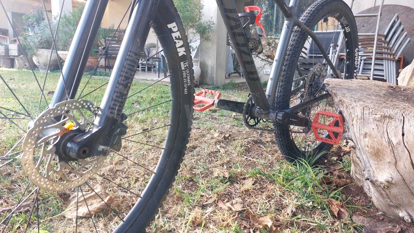 Specialized Rockhopper 29 M