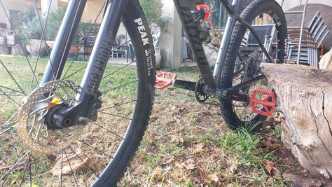 Specialized Rockhopper 29 M