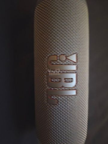 JBL flip 6