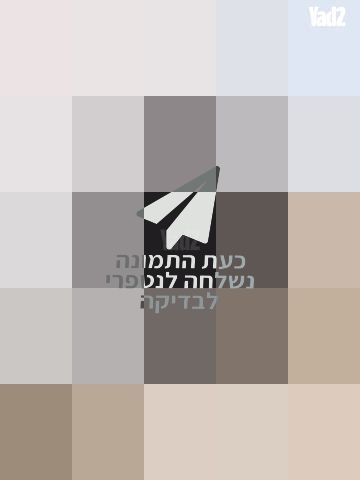 תיק מקורי דונה