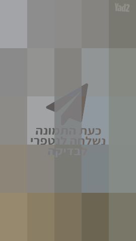 כוננית מעוצבת