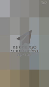 כוננית מעוצבת
