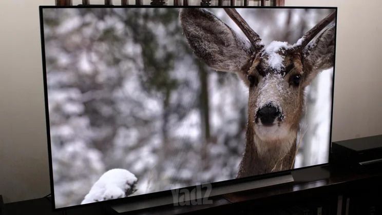 LG OLED C1 55" (דגם OLED55C1)