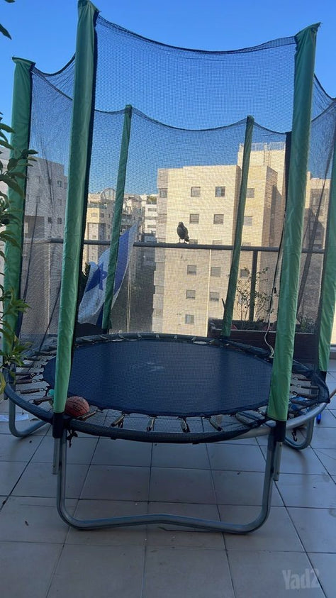 טרמפולינה