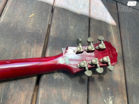 Epiphone standard PRO
