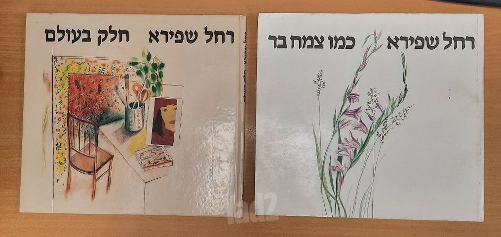 רחל שפירא