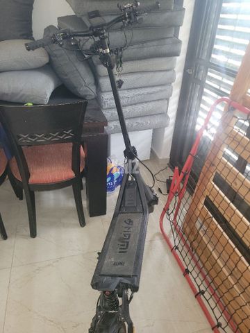 נאמי קלימה