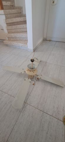 מאורר תקרה