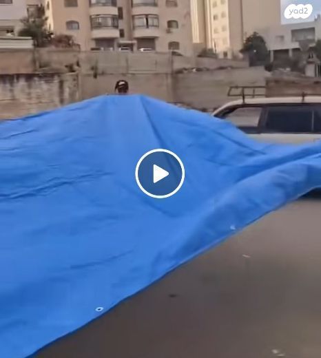 שימשייה לים