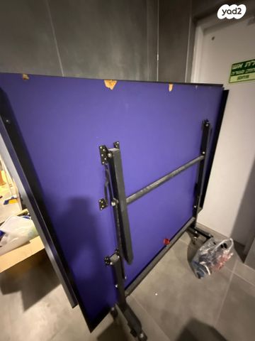 שולחן פינג פונג