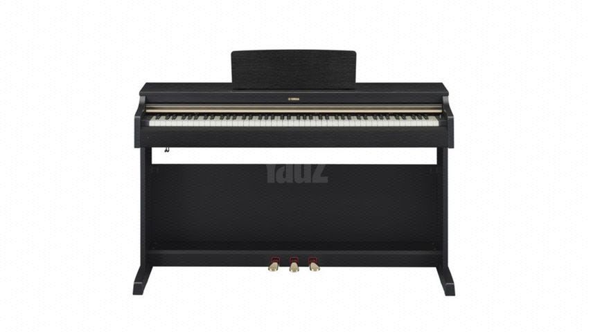 חשמלי Yamaha Arius YDP-162
