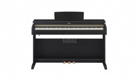 חשמלי Yamaha Arius YDP-162