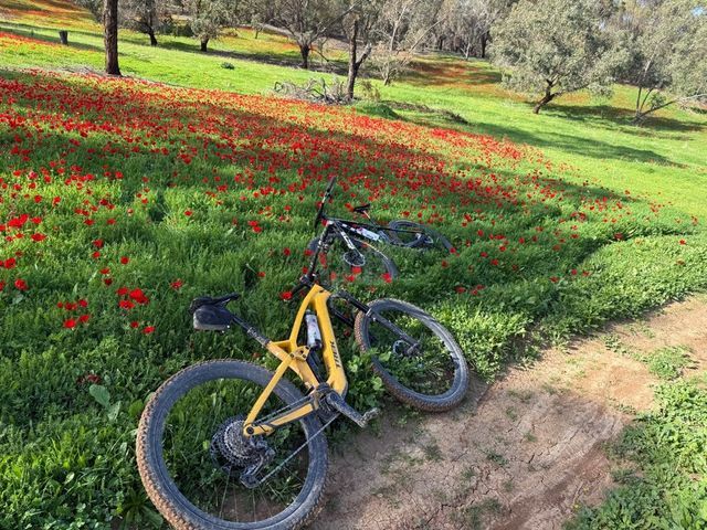 אופניים Emtb