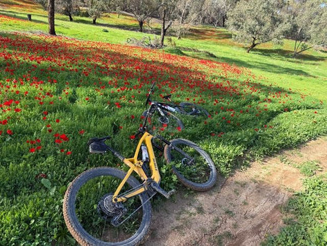 אופניים Emtb