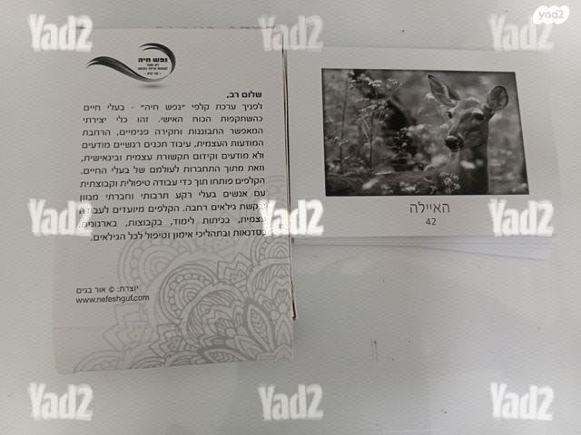 קלפי אימון חיות