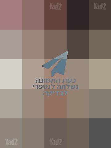 עניבה
