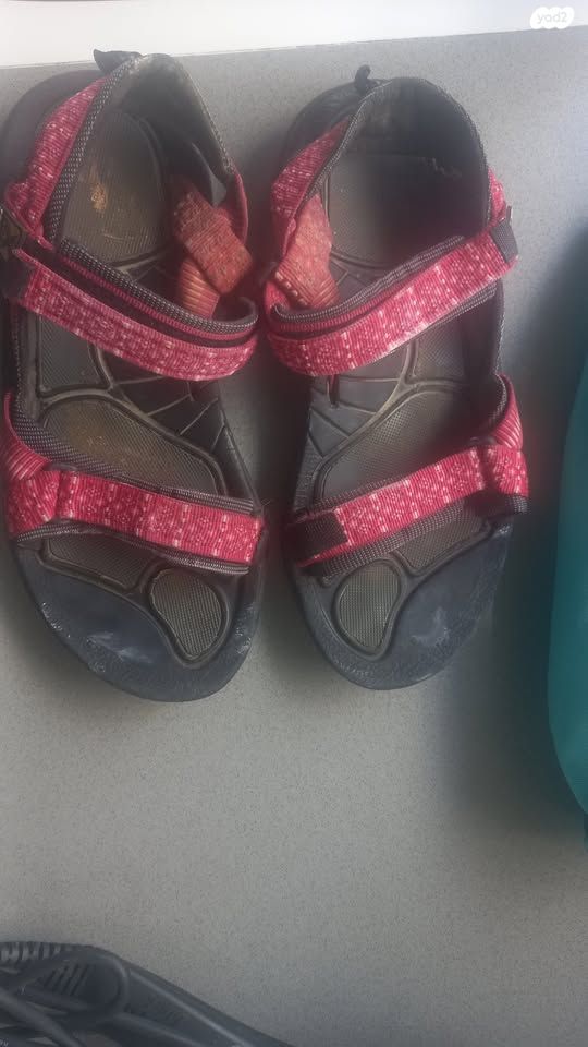 סנדלי שורש