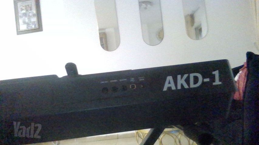 אורגן AKD 1