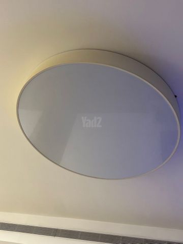 מנורה‏