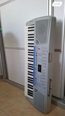 אורגנית