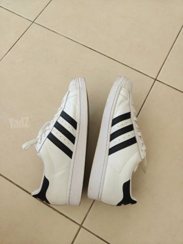 Adidas Shoes