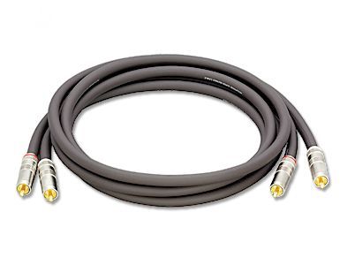 accuphase asl 10 RCA
