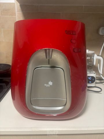 תמי 4 פרימו