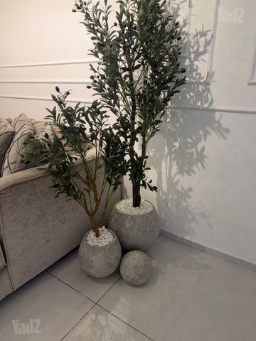 עציצים