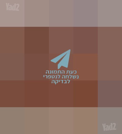 ספריה במחיר רק להיום