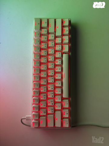 gk61