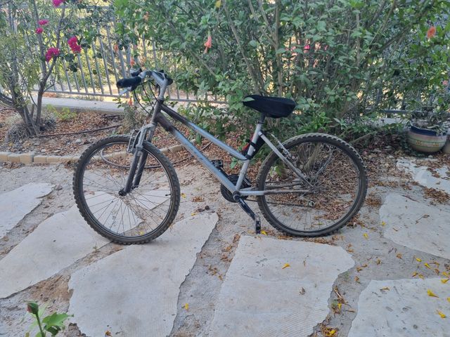 אופני הרים