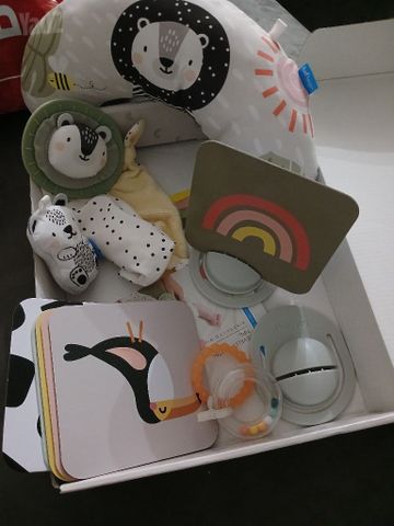 התפתחות תינוק