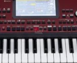 אורגן קורג PA700