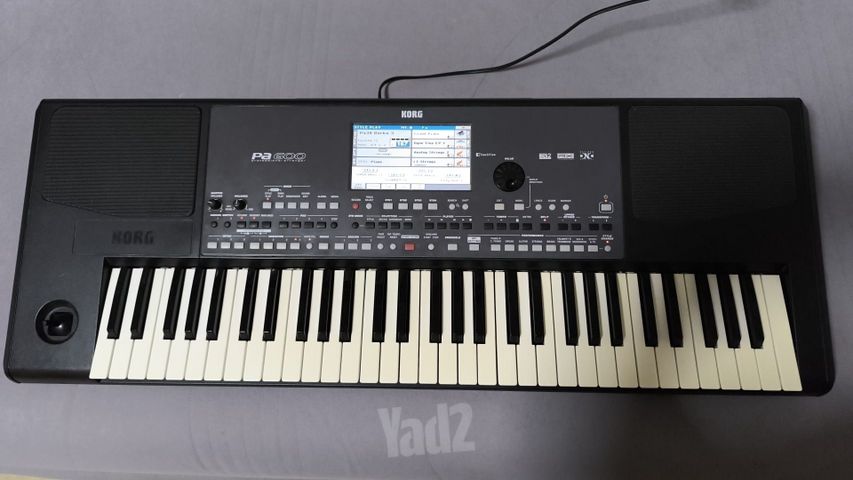 אורגן קורג PA600