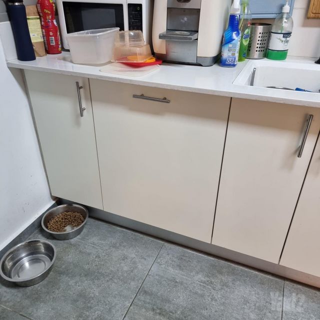 מדיח אינטגרלי