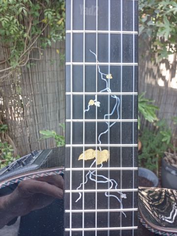 גיטרה יפנית Takamine