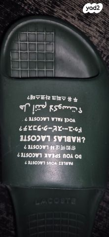 כפכפים Lacoste