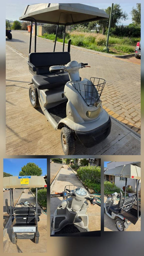 קלנועית 2019