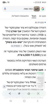 תמונה מקורית