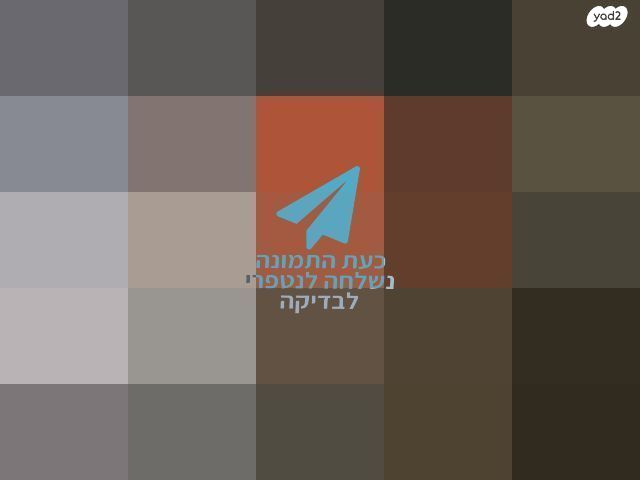 ברקסים