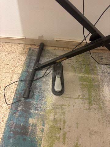 אורגנית