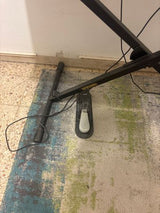 אורגנית