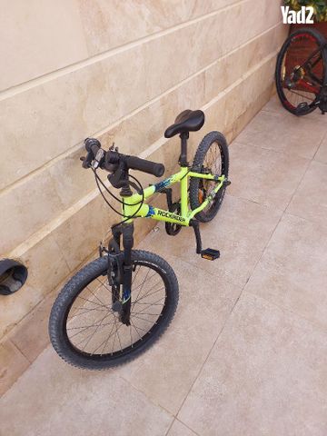 אפניים