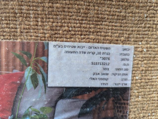 שטיח 200X290 צמר