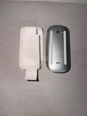 Magic mouse type c
