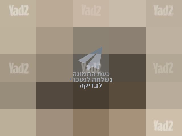 נגן OLTRA FLASH  כשר