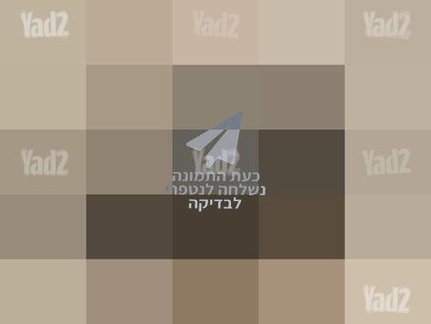 נגן OLTRA FLASH  כשר