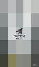 שירותים